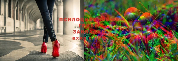 ГАЛЛЮЦИНОГЕННЫЕ ГРИБЫ Кодинск