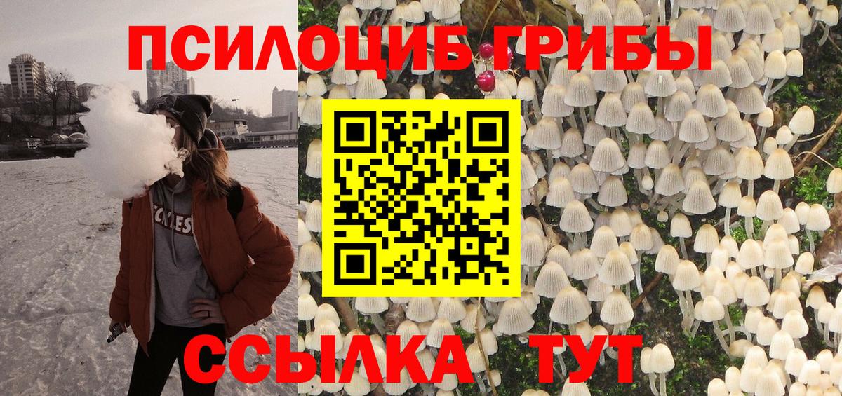 Псилоцибиновые грибы прущие грибы Феодосия